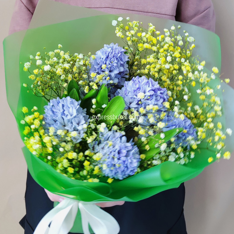 5 гиацинтов с гипсофилой