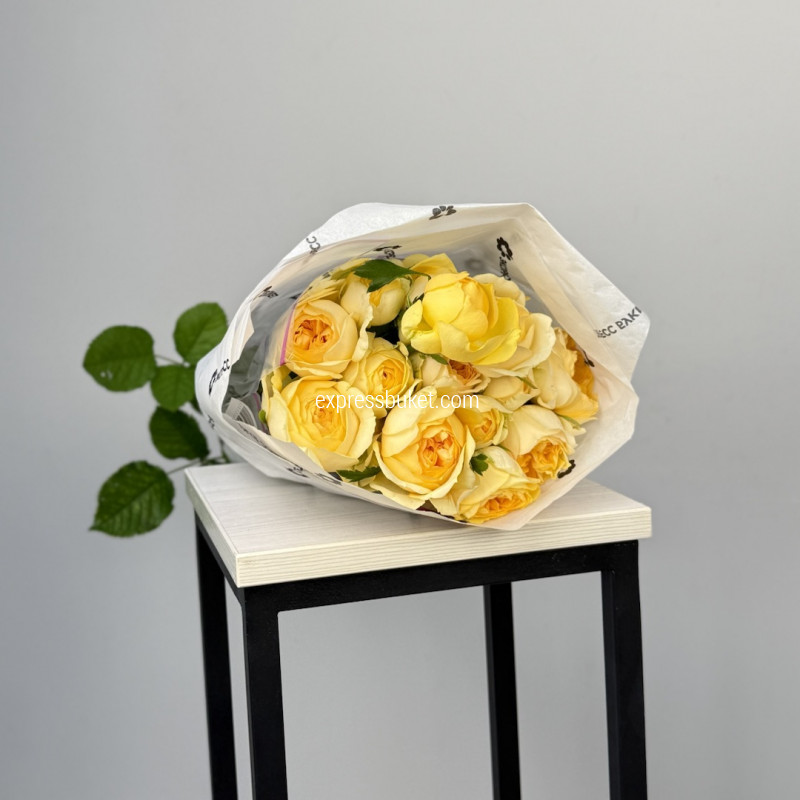 Розы Сильва Санни, 5 шт