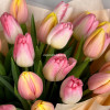 Тюльпаны солнечные 23 штуки